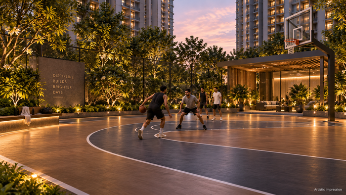 Basketball Court